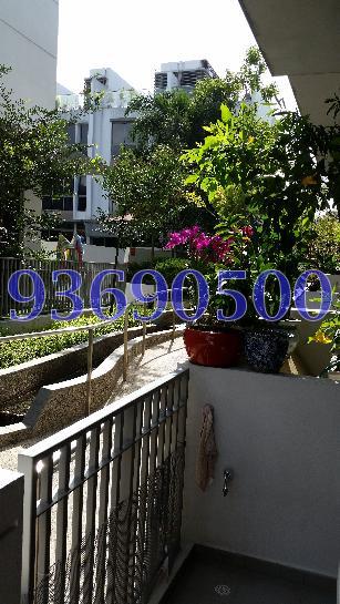 Charlton Villas (D19), Terrace #61623162